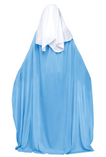 Fun World Costumes Plus Size Mary