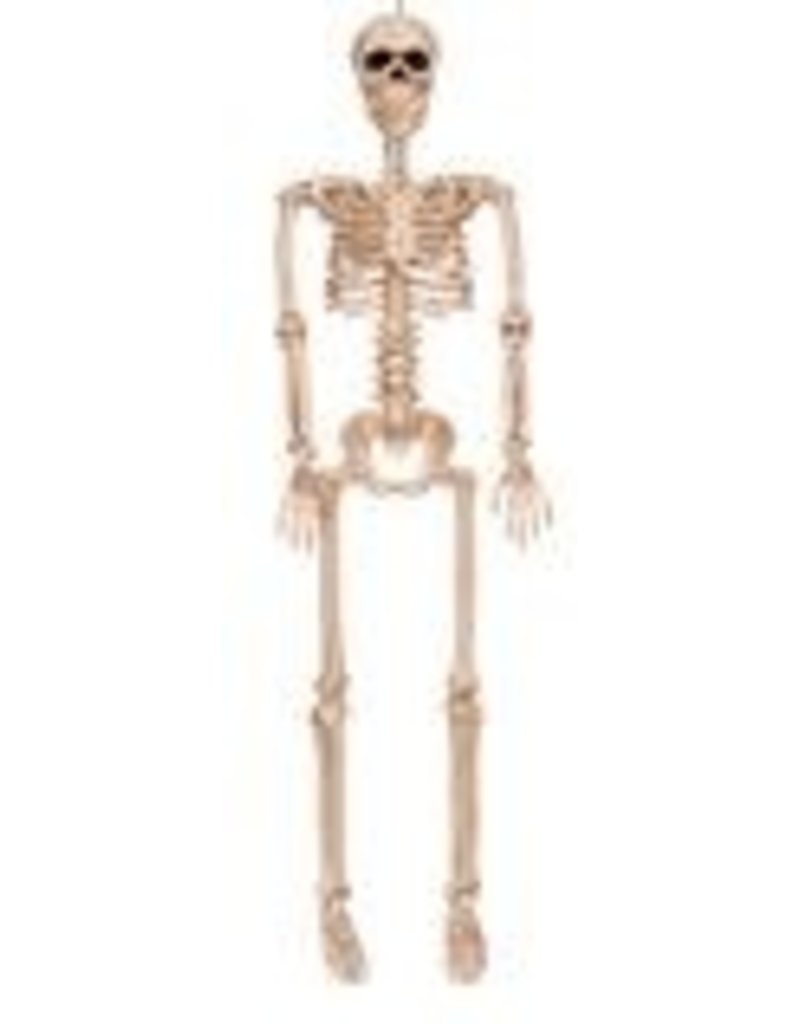 36" Mini Skeleton