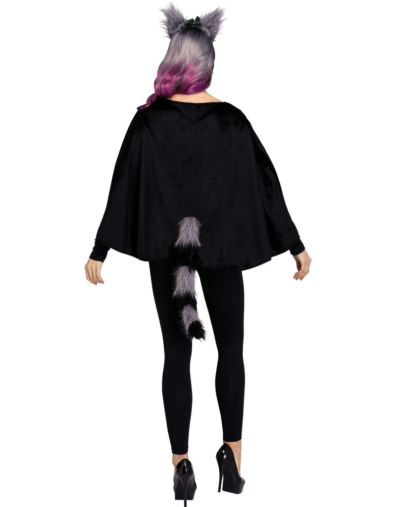 Fun World Costumes Deluxe Raccoon Animal Poncho
