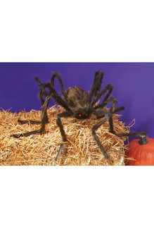 Fun World Costumes 50" Posable Spider Halloween Decoration