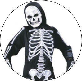 Skeleton