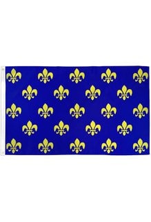 Fleur De Lis Blue Multi Flag (3x5')