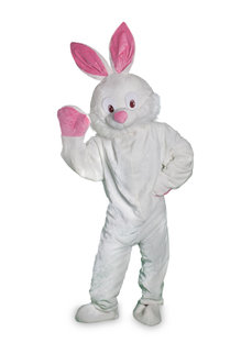 Adult Short Hair Mascot Easter Bunny Costume