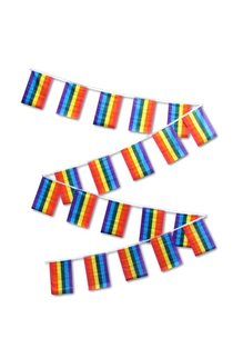 Rainbow String Flag Set (30Ft.)