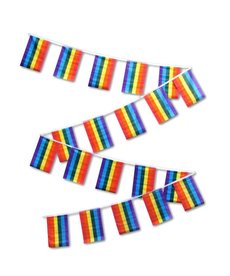 Rainbow String Flag Garland Set (30Ft.)