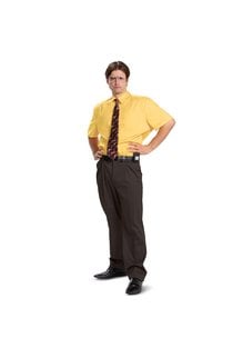 Disguise Costumes Men's Dwight Schrute Costume (The Office)
