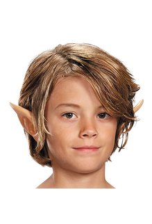 Disguise Costumes Boy's Deluxe Link Costume (Legend of Zelda: Breath Of The Wild)