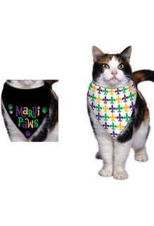 Amscan Mardi Paws Pet Bandana