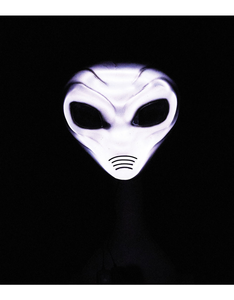 Grey Alien Mask