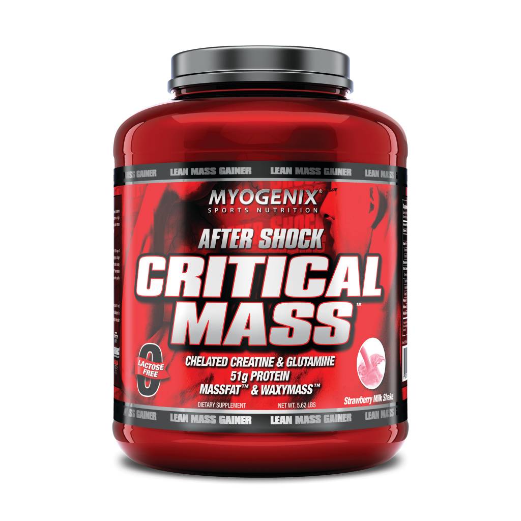 6 Day Aftershock post workout for Build Muscle