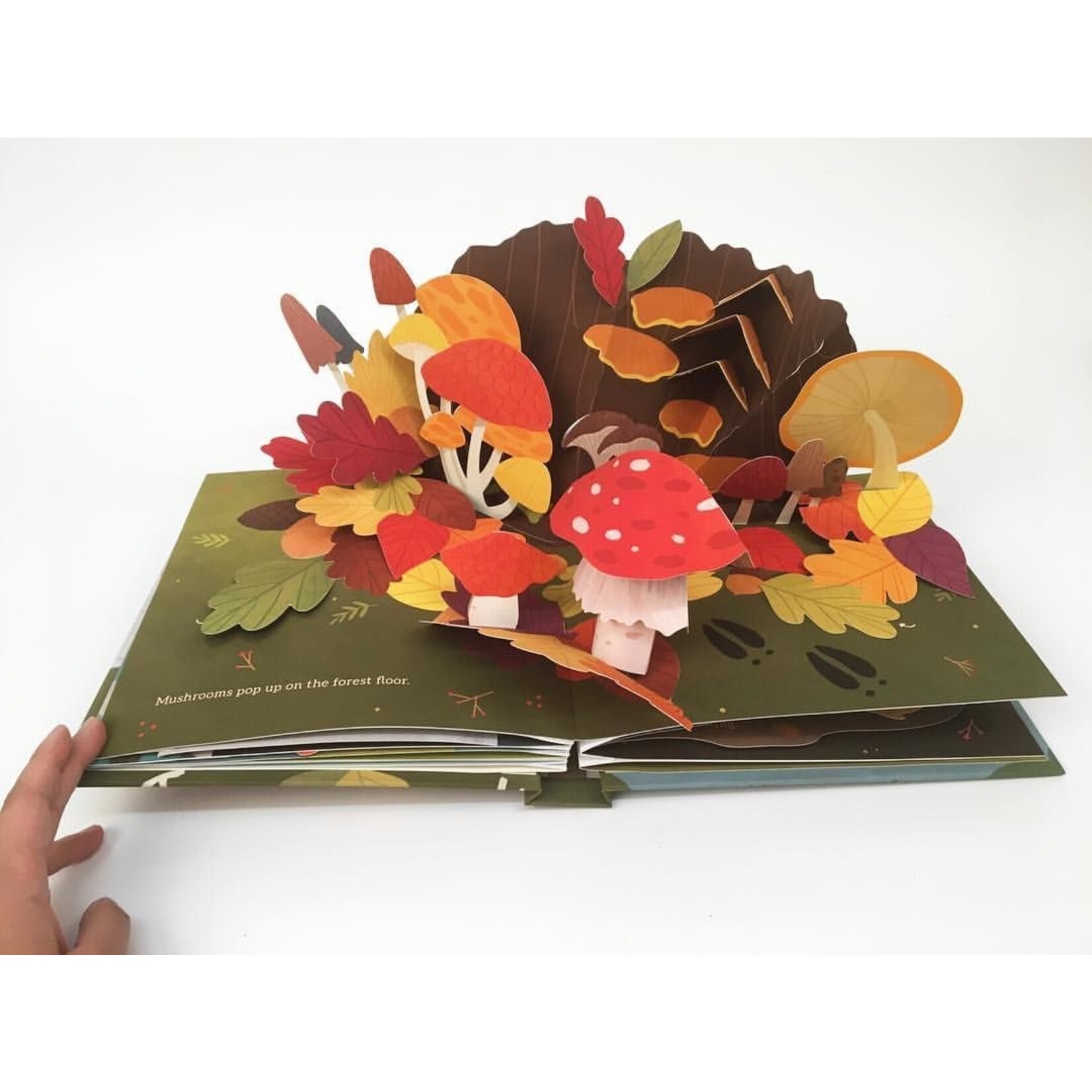 Leaves: An Autumn Pop-Up Book