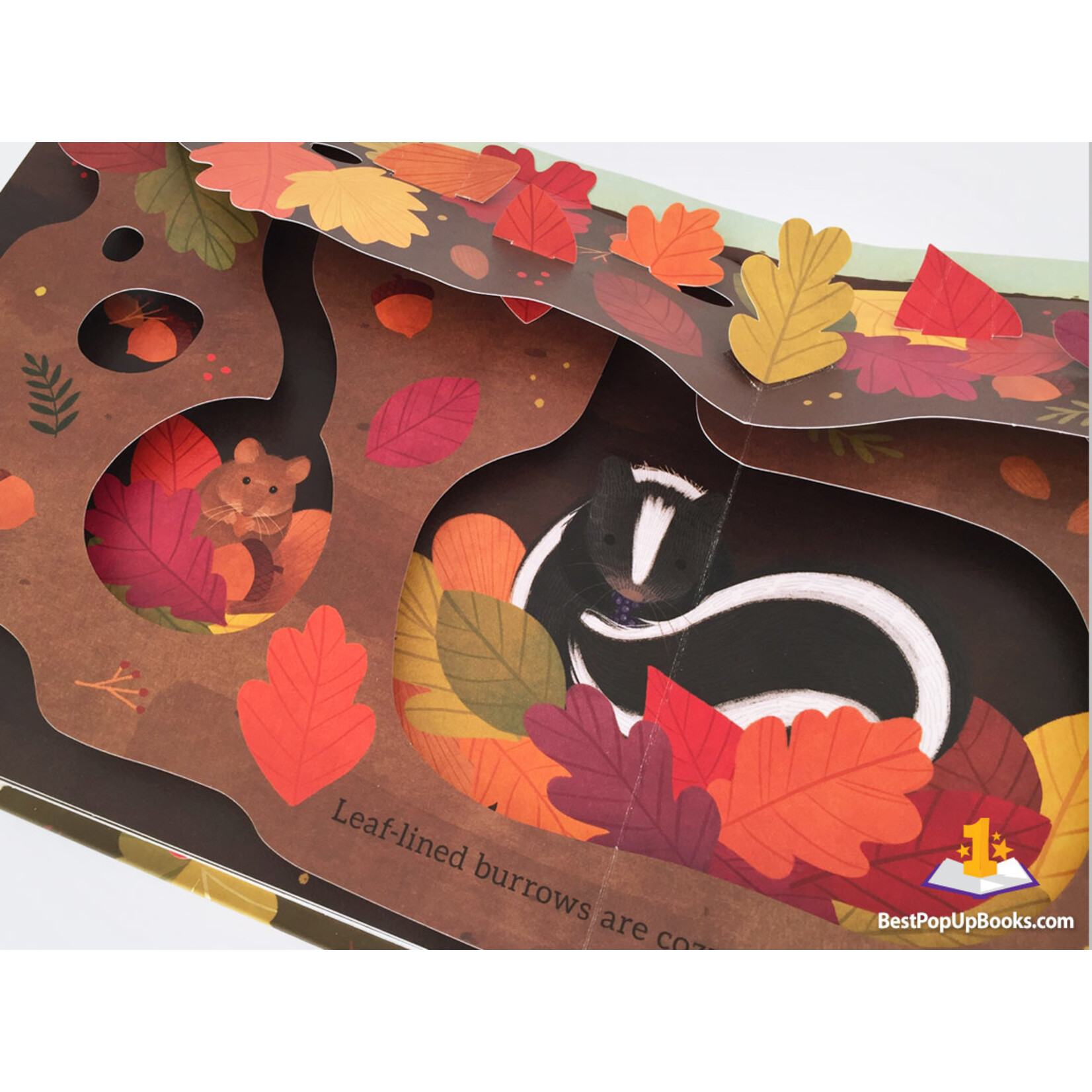 Leaves: An Autumn Pop-Up Book