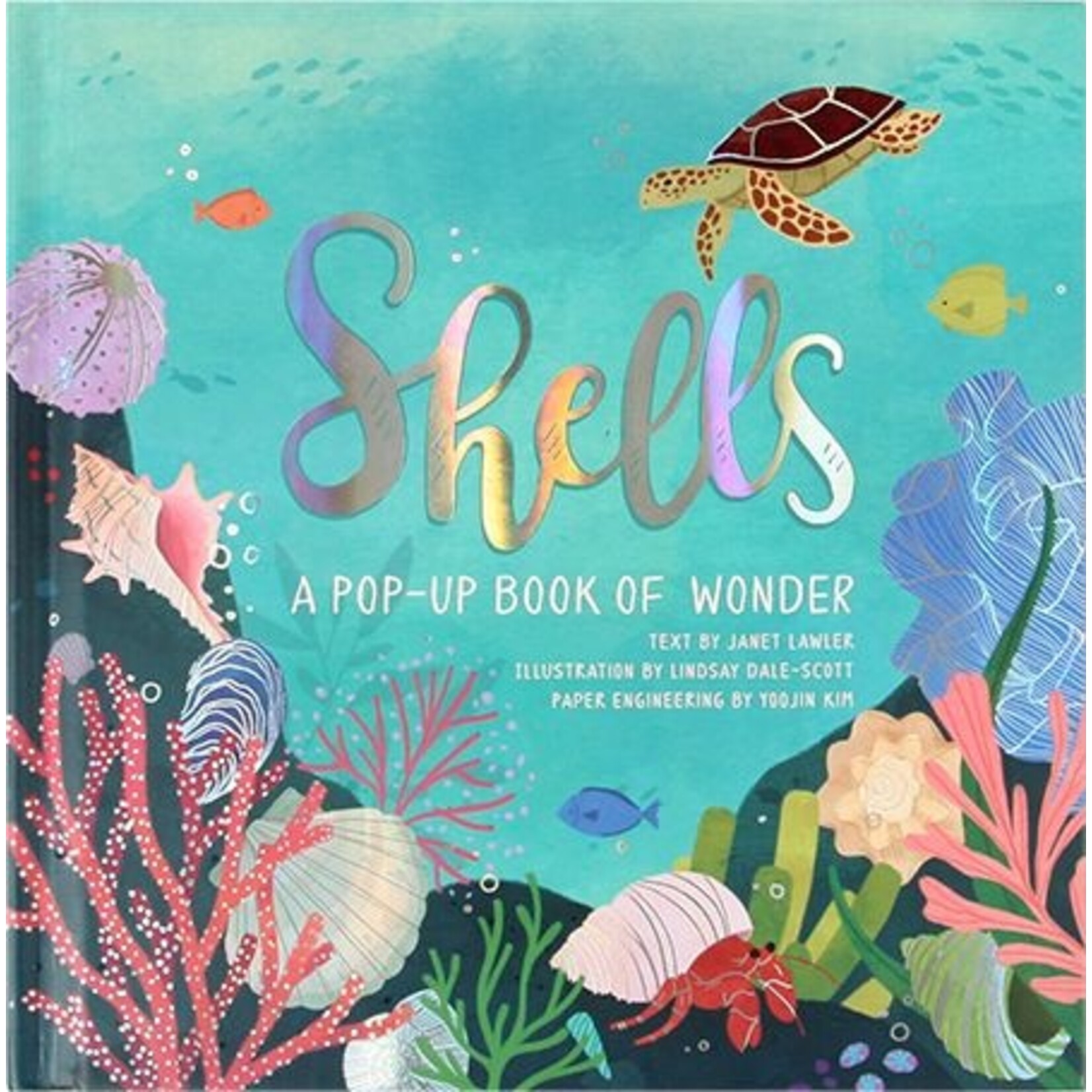 Shells: A Pop-up Book of Wonder