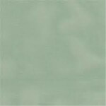 Carolina Cloth Carolina Broadcloth Sage 44'' By The Foot