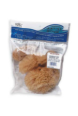 Royal Brush Sponge Sets, Combination
