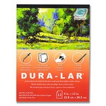 GRAFIX Duralar Wet Media Sheet 20X25 .005