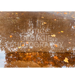 Justice Georgie Photography "Tree Reflection" Print