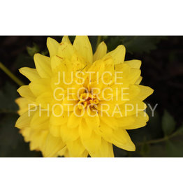 Justice Georgie Photography "Warm Embrace" Print