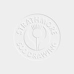 Strathmore *Discontinued* Drawing Paper Sheets 500 Series, Regular - 106 Lb. 23'' X 29''