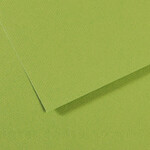 Canson Mi-Teintes Paper Sheets, 19'' x 25'', Apple Green