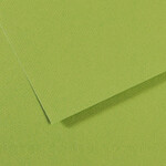 Canson Mi-Teintes Paper Sheets, 19'' x 25'', Green