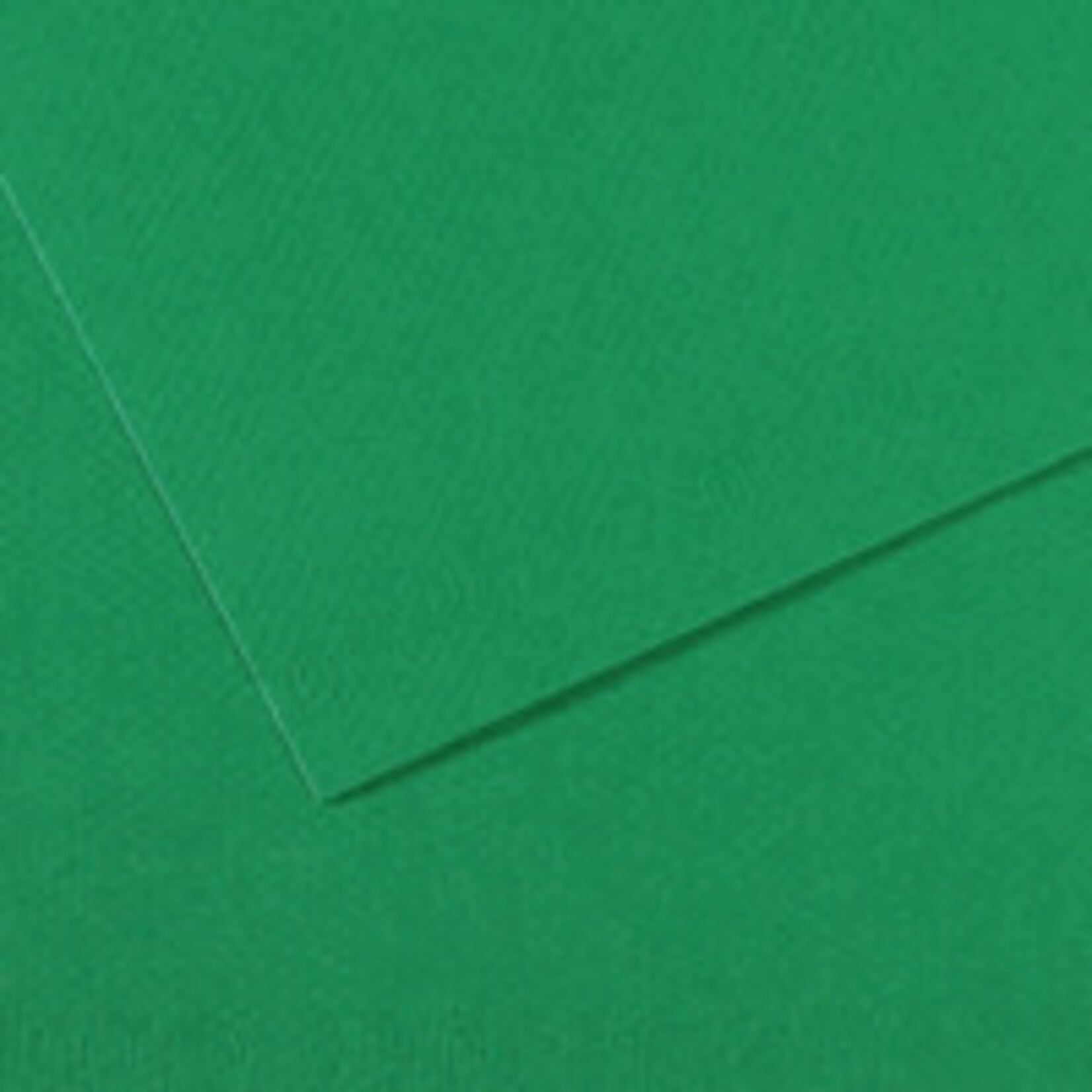 Canson Mi-Teintes Paper Sheets, 19'' x 25'', Viridian