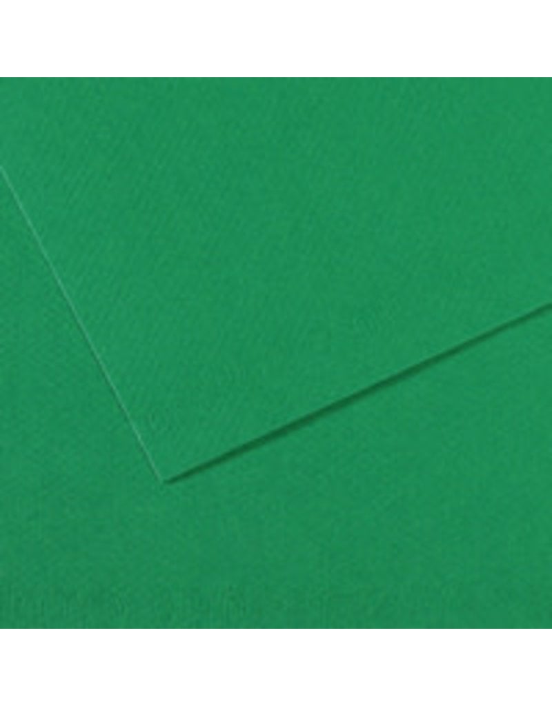 Canson Mi-Teintes Paper Sheets, 19'' x 25'', Viridian
