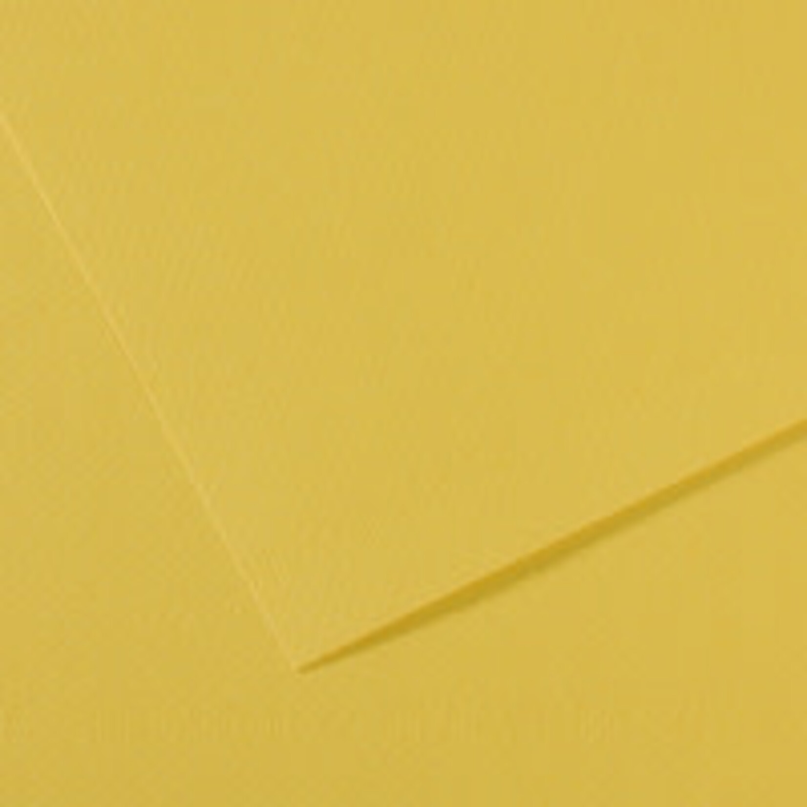 Canson Mi-Teintes Paper Sheets, 19'' x 25'', Anise