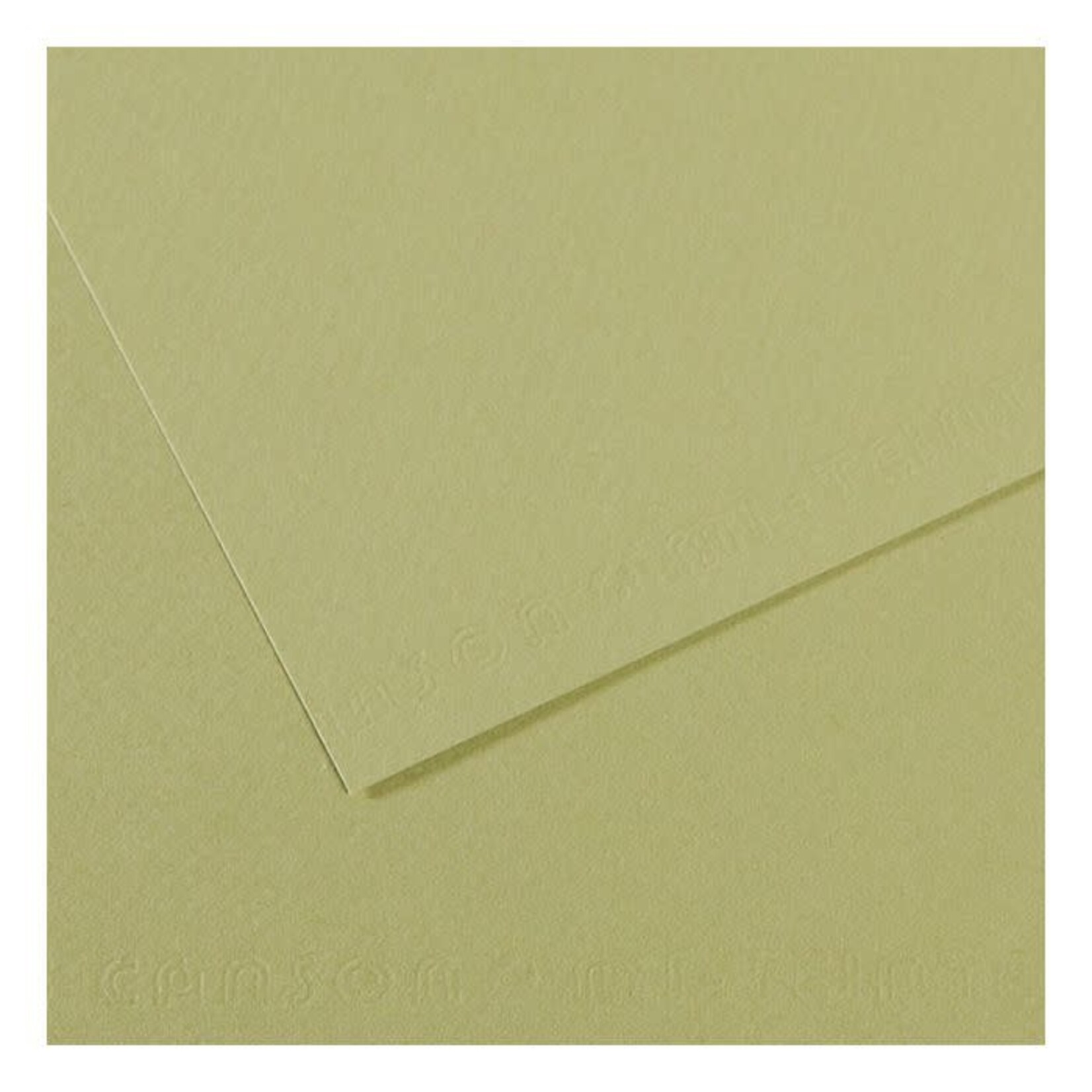 Canson Mi-Teintes Paper Sheets, 19'' x 25'', Light Green