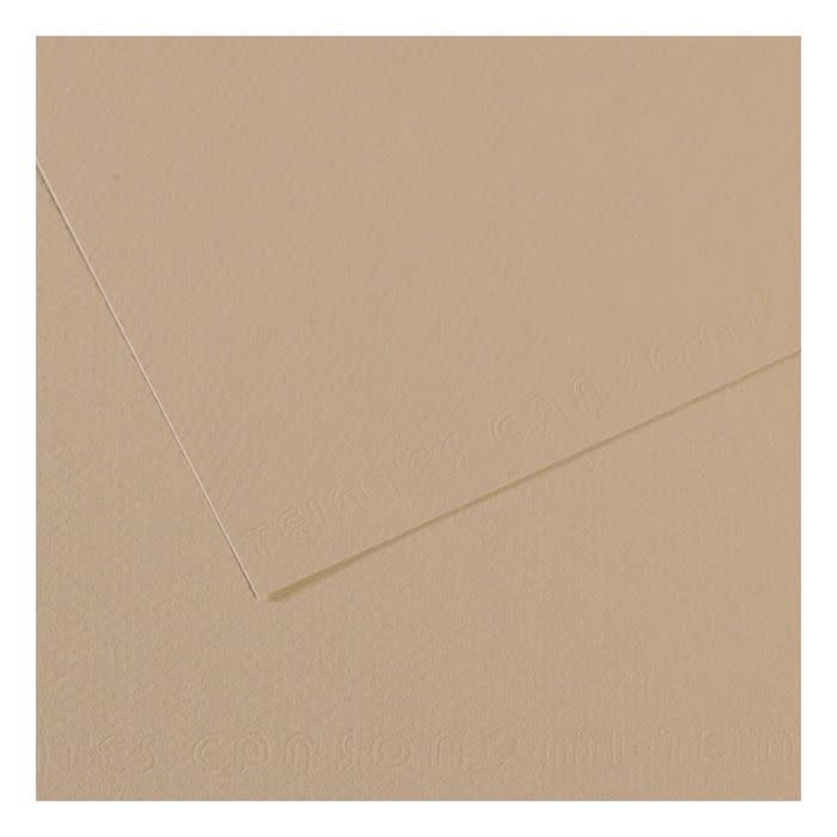 Canson Mi-Teintes Paper Sheets, 19'' x 25'', Pearl