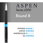 Princeton Aspen Round 8