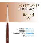 Princeton Neptune Synthetic Squirrel Round 0