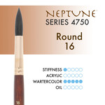 Princeton Neptune Synthetic Squirrel Round 16
