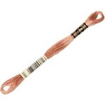 DMC FLOSS Floss Desert Sand 3064