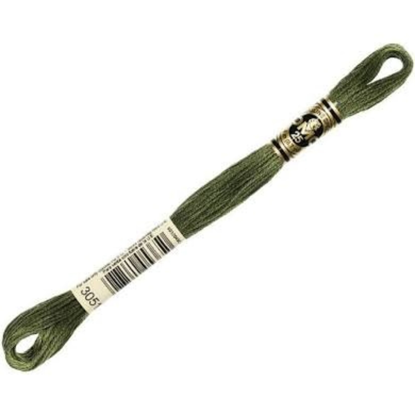 DMC FLOSS Floss Dark Green Gray 3051