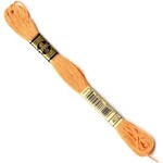 DMC Floss Light Mahogany 402