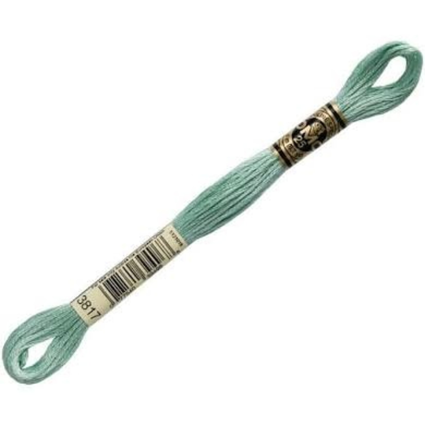 DMC FLOSS Floss Med Celadon Green 163