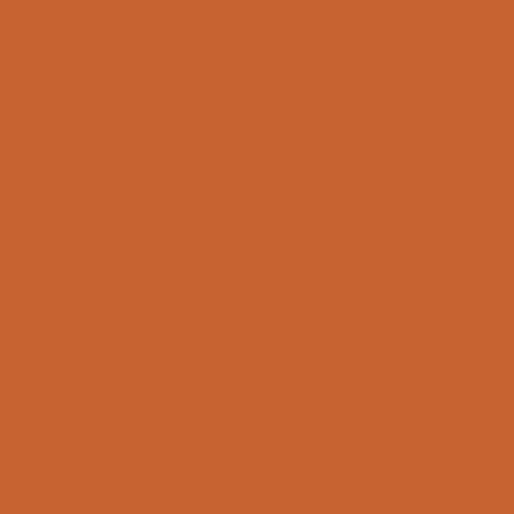 Jacquard PROCION 2/3OZ RUST ORANGE