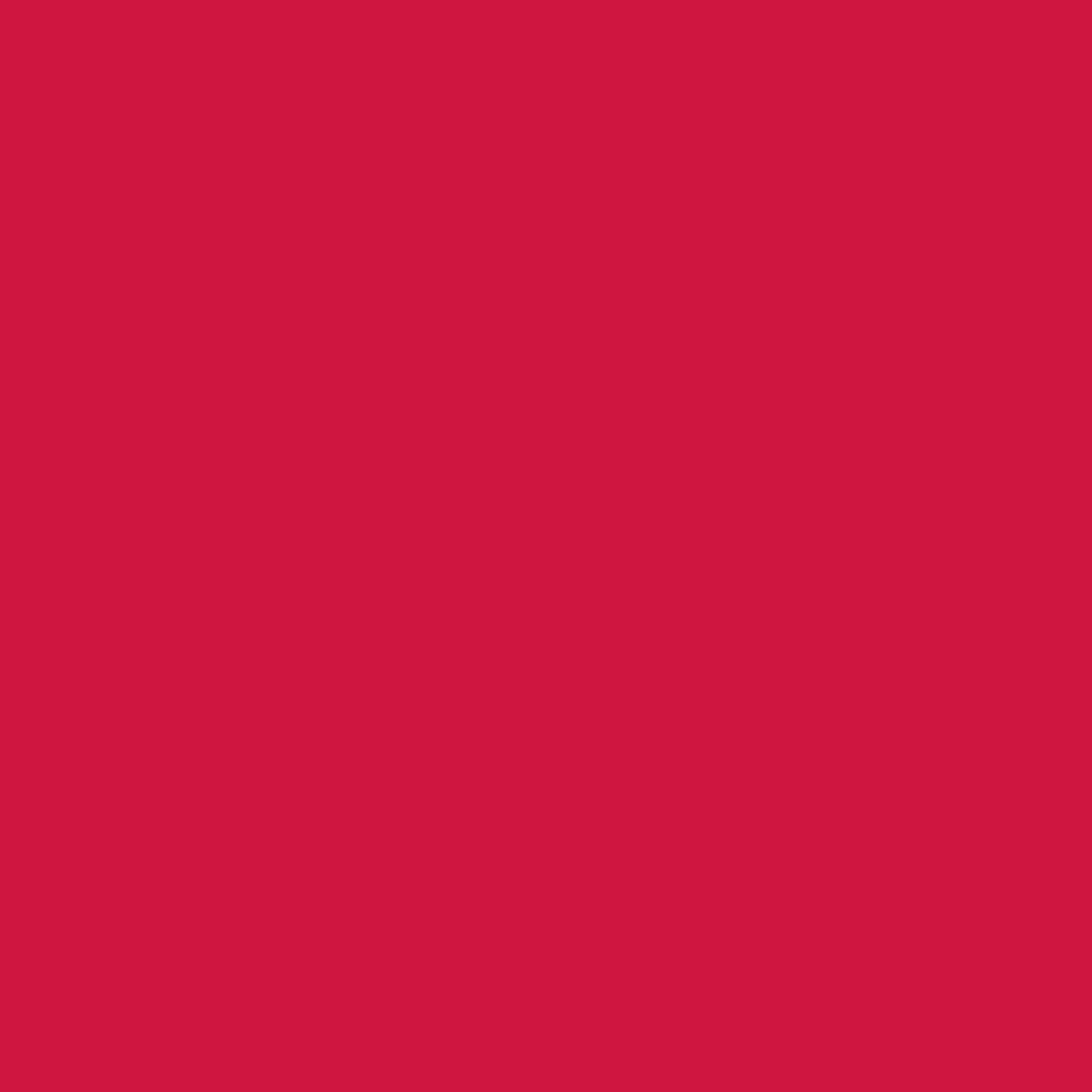 Jacquard PROCION 2/3OZ CARMINE RED