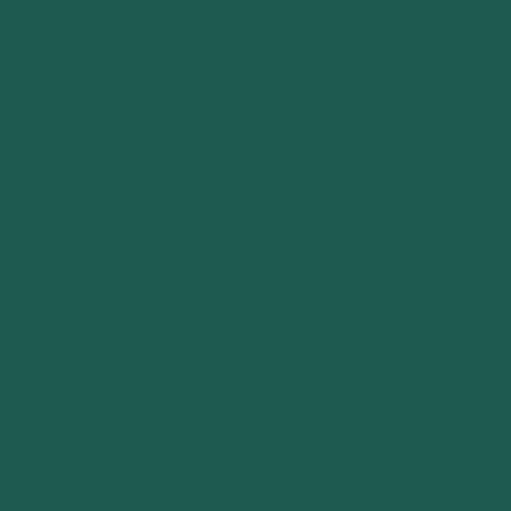 Jacquard PROCION 2/3OZ FOREST GREEN