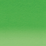 Derwent Coloursoft Pencil Pea Green