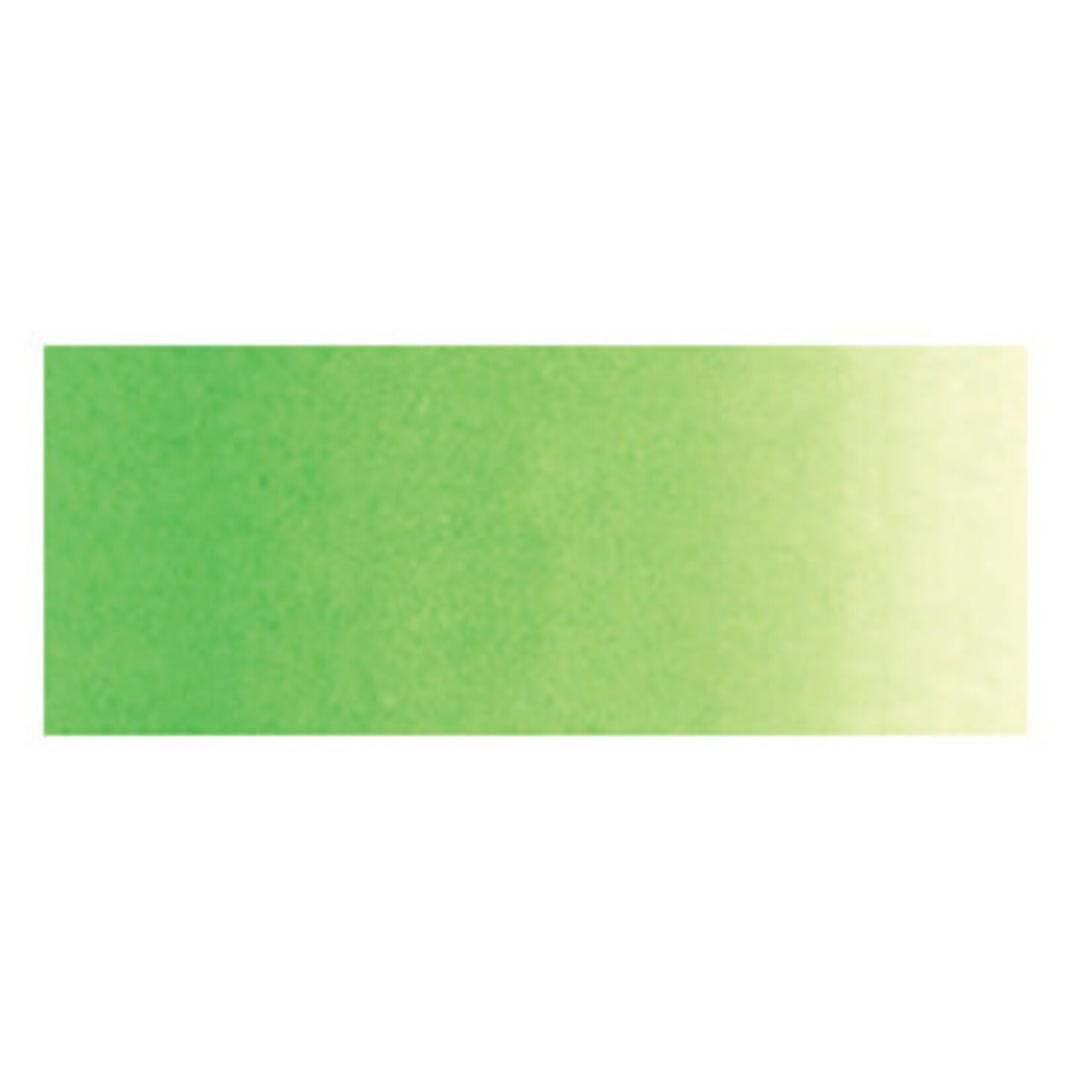 Holbein Artists Watercolor 5Ml Cadmium Green Pale