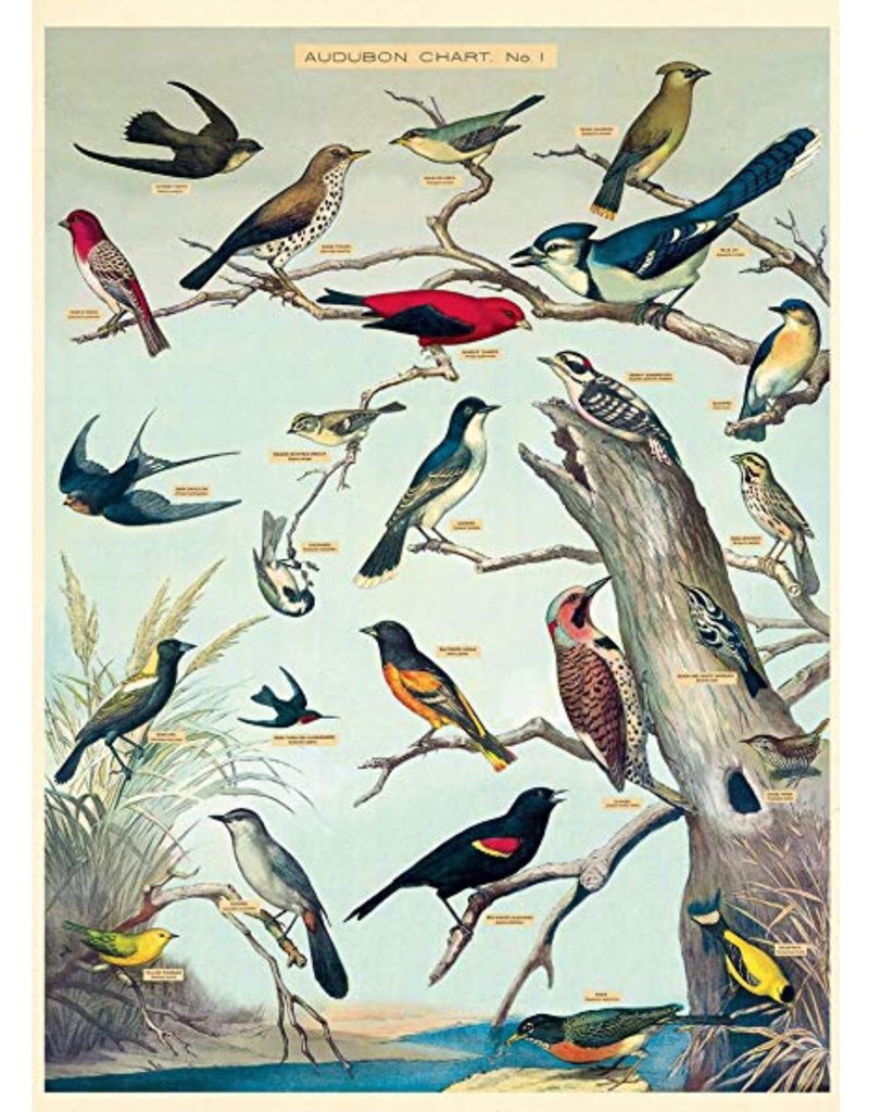 Cavallini Wrap Sheet Audubon Birds