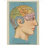 Cavallini Wrap Sheet Phrenology