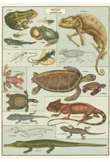 Cavallini Wrap Sheet Reptiles & Amphibians