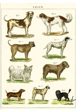 Cavallini Wrap Sheet Dog Chart