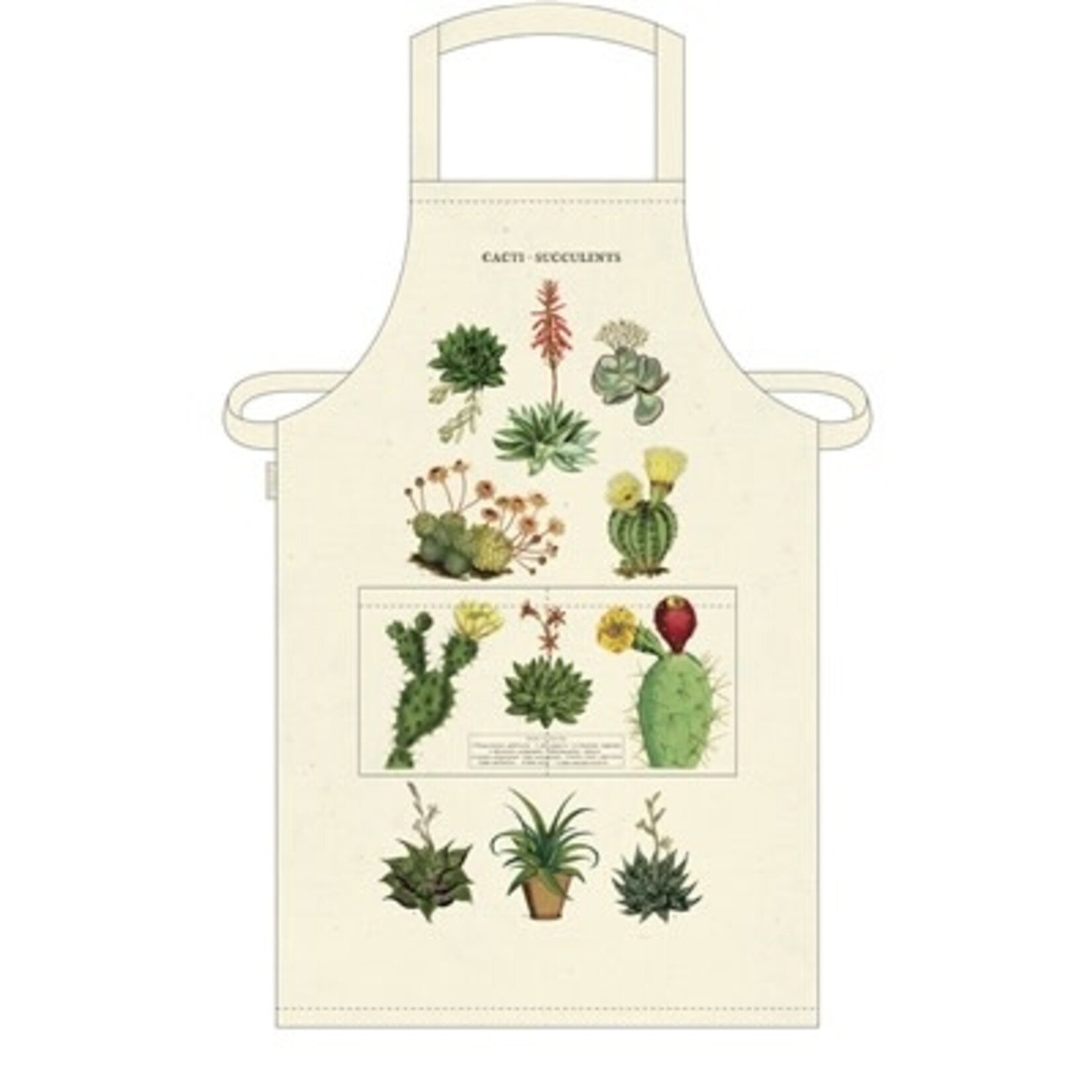 Cavallini Vintage Apron Cacti & Succulents