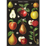 Cavallini Wrap Sheet Apples & Pears
