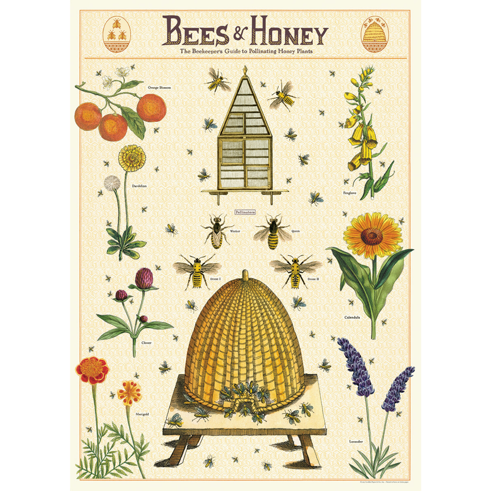 Cavallini Wrap Sheet Bees & Honey 2