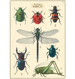 Cavallini Wrap Sheet Natural History Insects 2